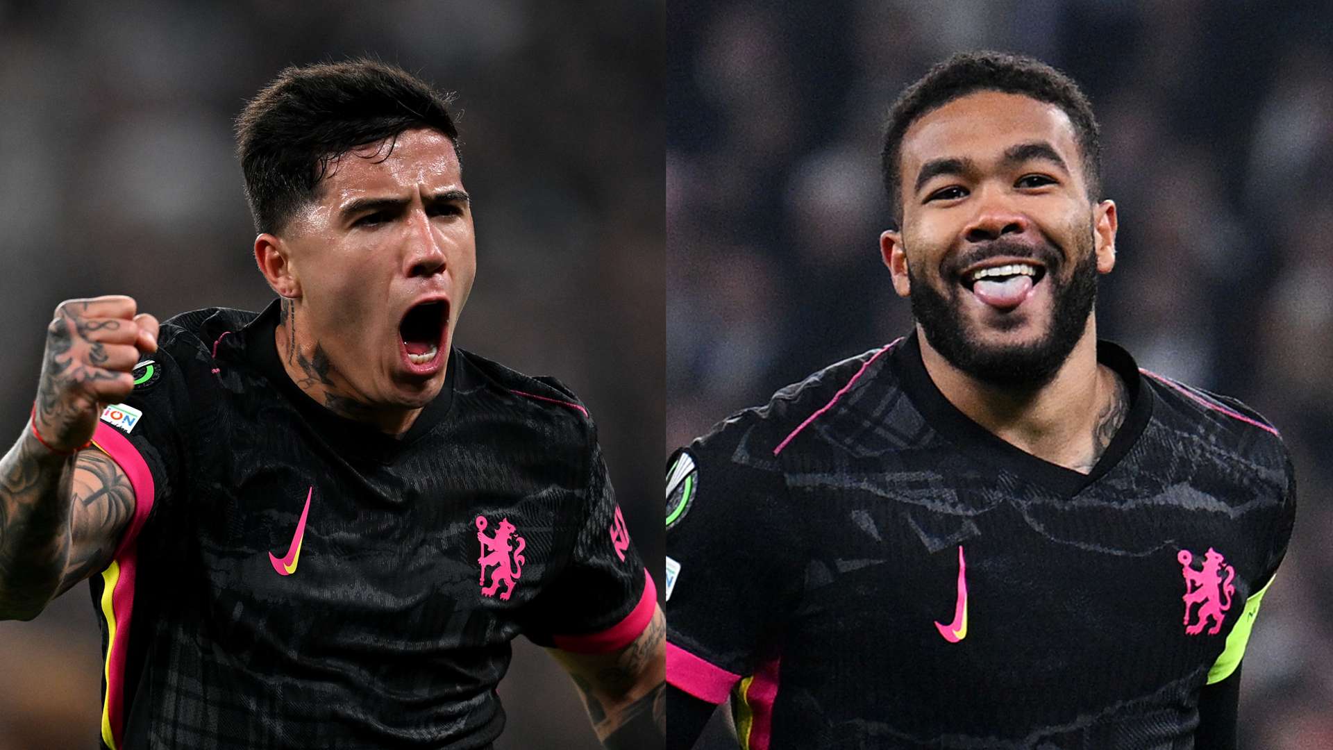 更是对市场 更是对市场